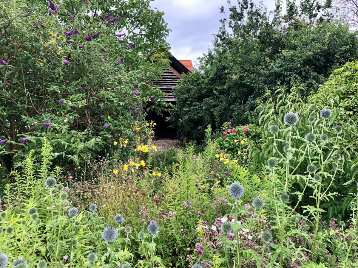 B&B Helena'S Hoeve Buggenum ภายนอก รูปภาพ